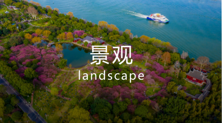 景观